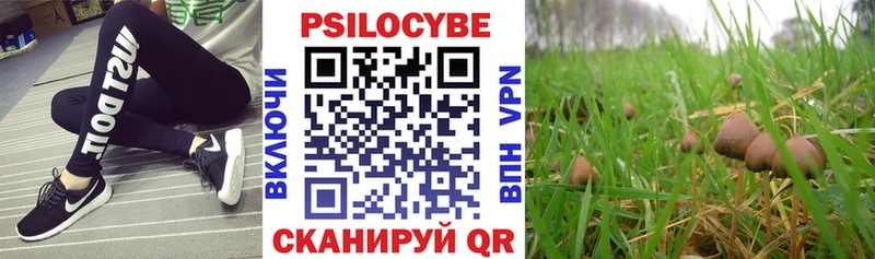 Псилоцибиновые грибы Magic Shrooms  маркетплейс наркотические препараты  Магас  как найти наркотики 